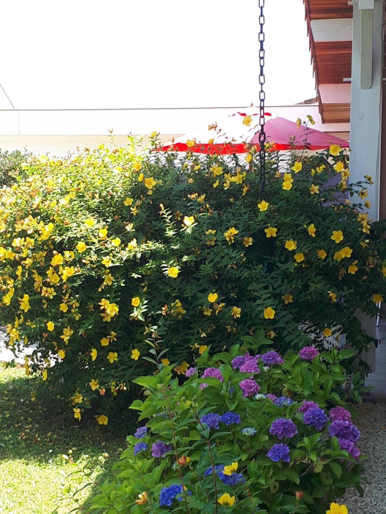 Le Soleil Couchant Angresse Bilik gambar